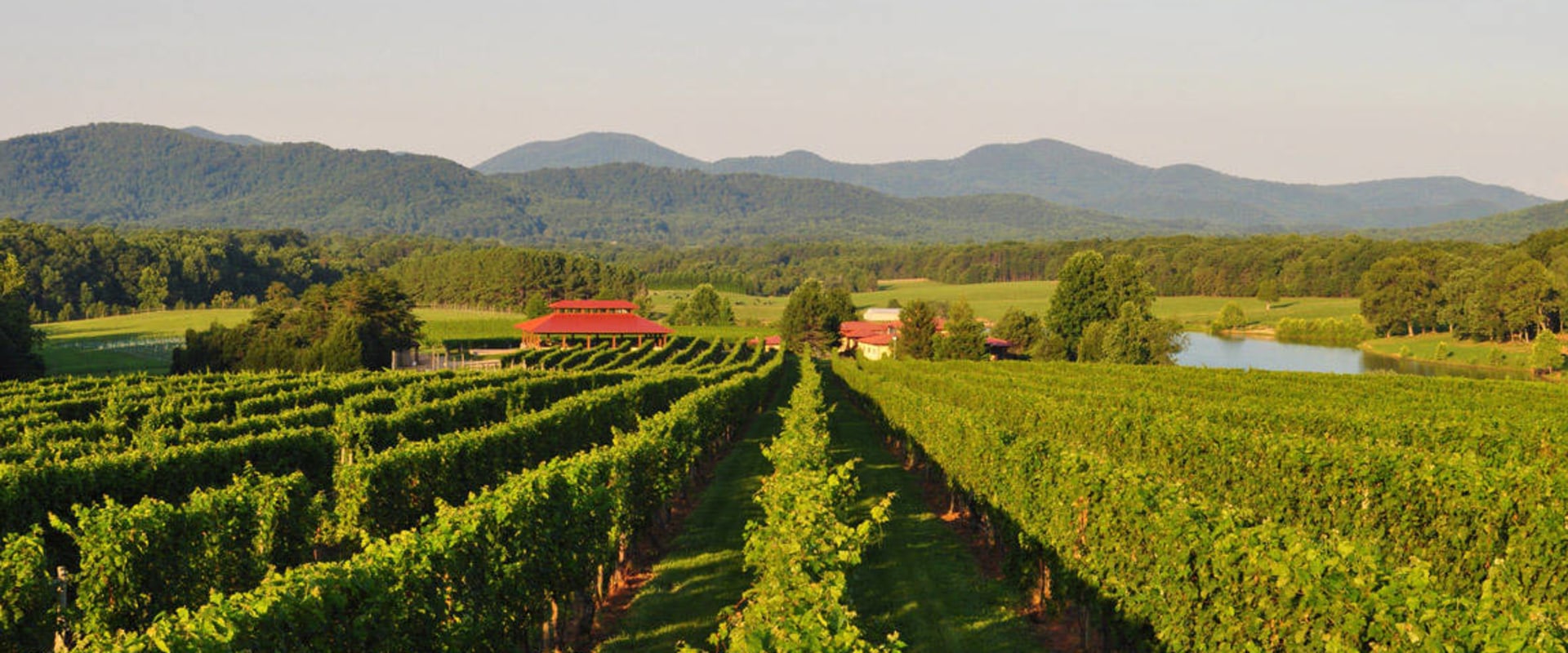 Exploring the Vineyards of Dulles, Virginia: Special Events and Promotions