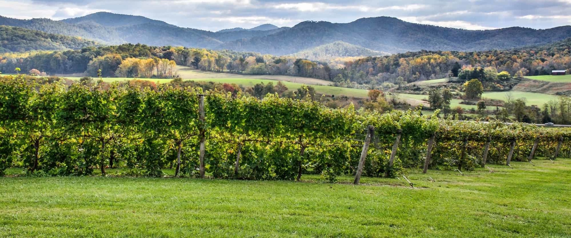 Exploring the Vineyards in Dulles, Virginia: Are There Any Restrictions on Bringing Outside Food or Drinks?