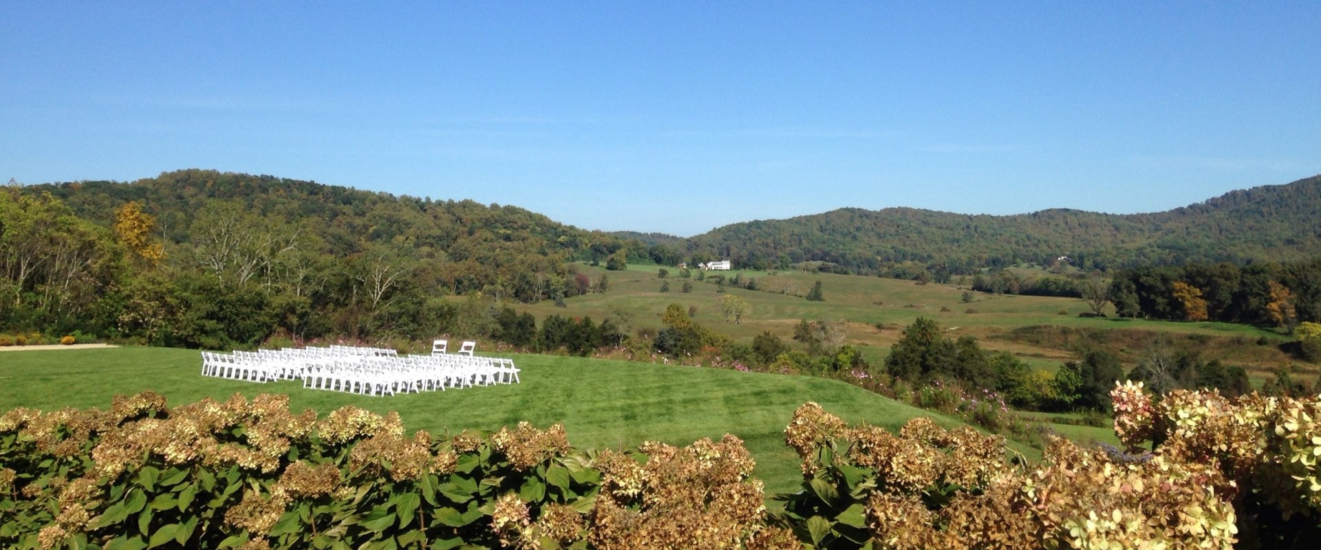 Exploring the Vineyards of Dulles, Virginia: Discounts and Deals