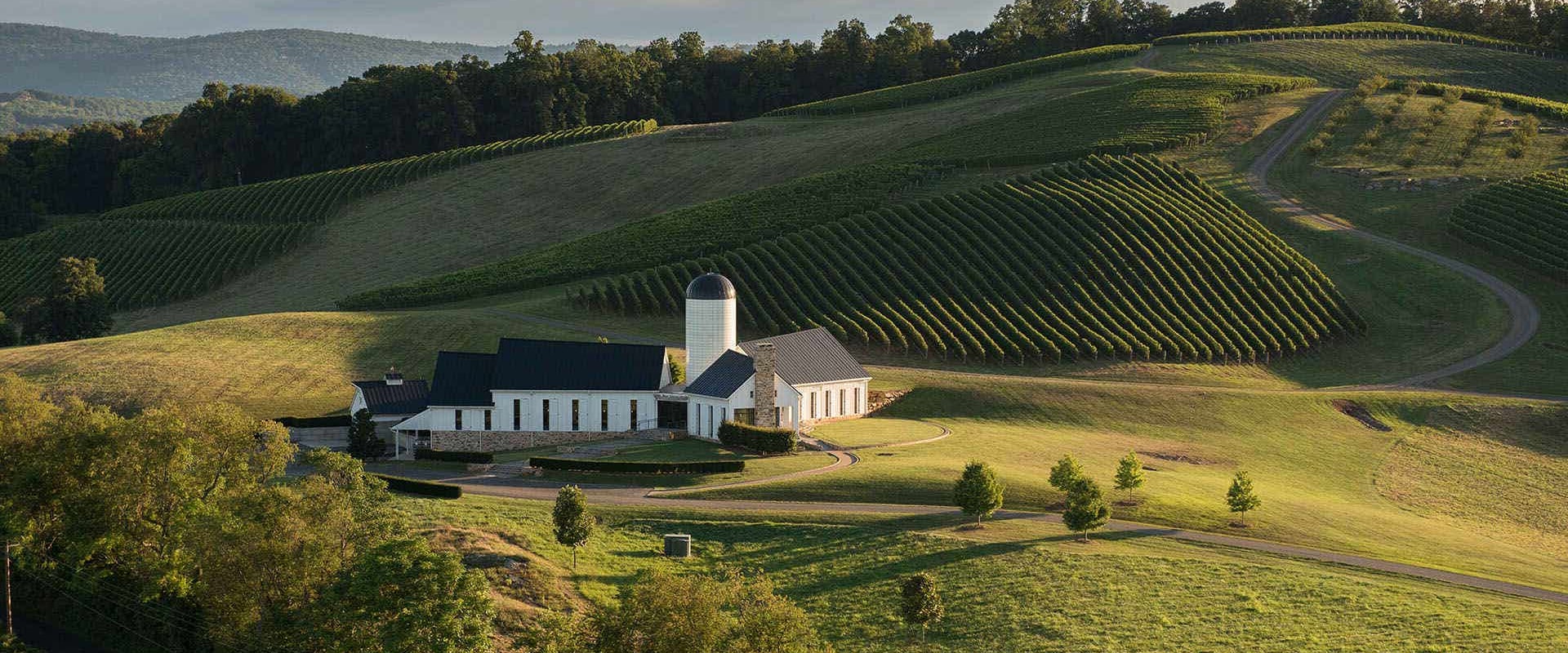 Exploring the Vibrant Vineyards of Dulles, Virginia