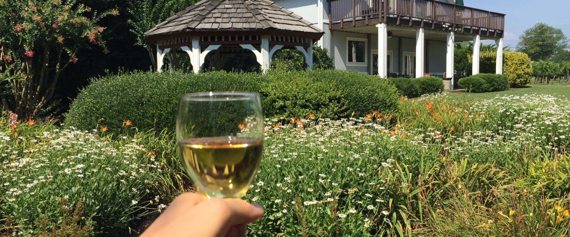 Exploring the Vineyards in Dulles, Virginia: A Guide to Wine Tasting Costs