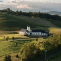 Exploring the Vibrant Vineyards of Dulles, Virginia