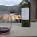 Exploring Pet-Friendly Vineyards in Dulles, Virginia - A Comprehensive Guide