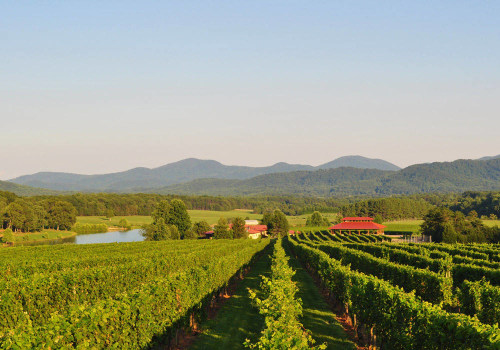 Exploring the Vineyards of Dulles, Virginia: Special Events and Promotions