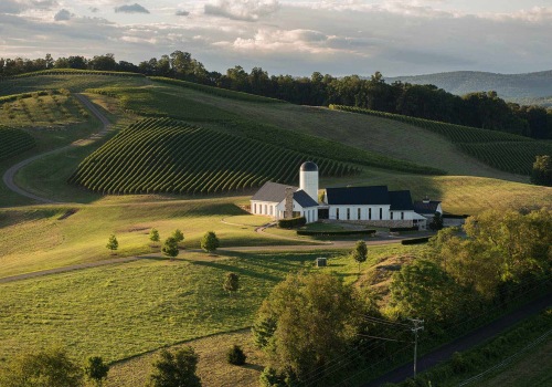 Exploring the Vibrant Vineyards of Dulles, Virginia