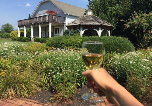Exploring the Vineyards in Dulles, Virginia: A Guide to Wine Tasting Costs