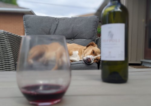 Exploring Pet-Friendly Vineyards in Dulles, Virginia - A Comprehensive Guide